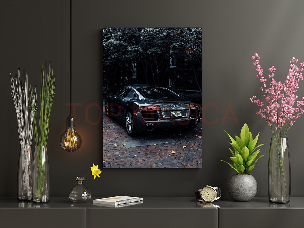 Audi R8 - Slika audi r8 md