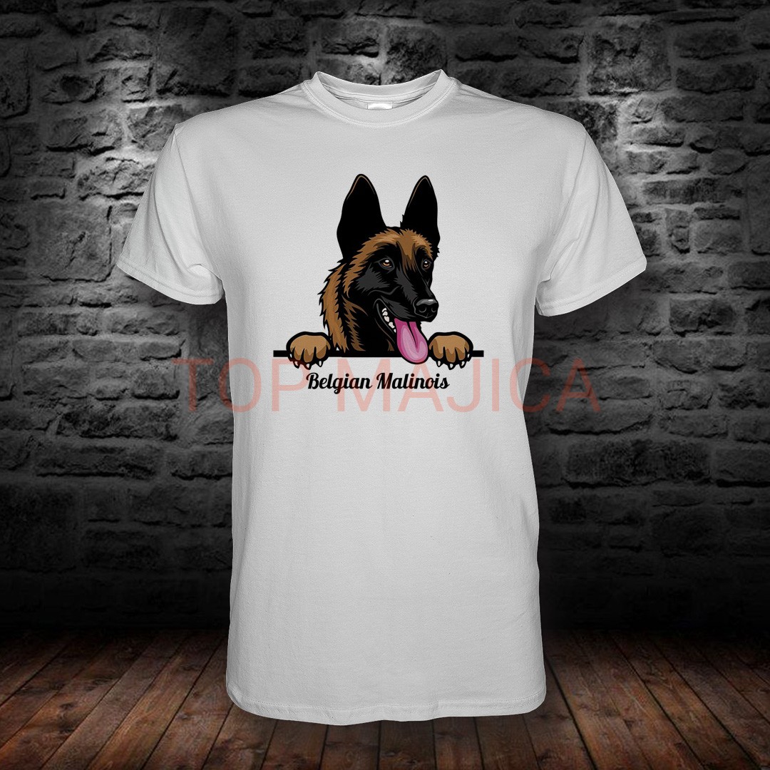 Belgijska Malinoa belgijska malinoa top