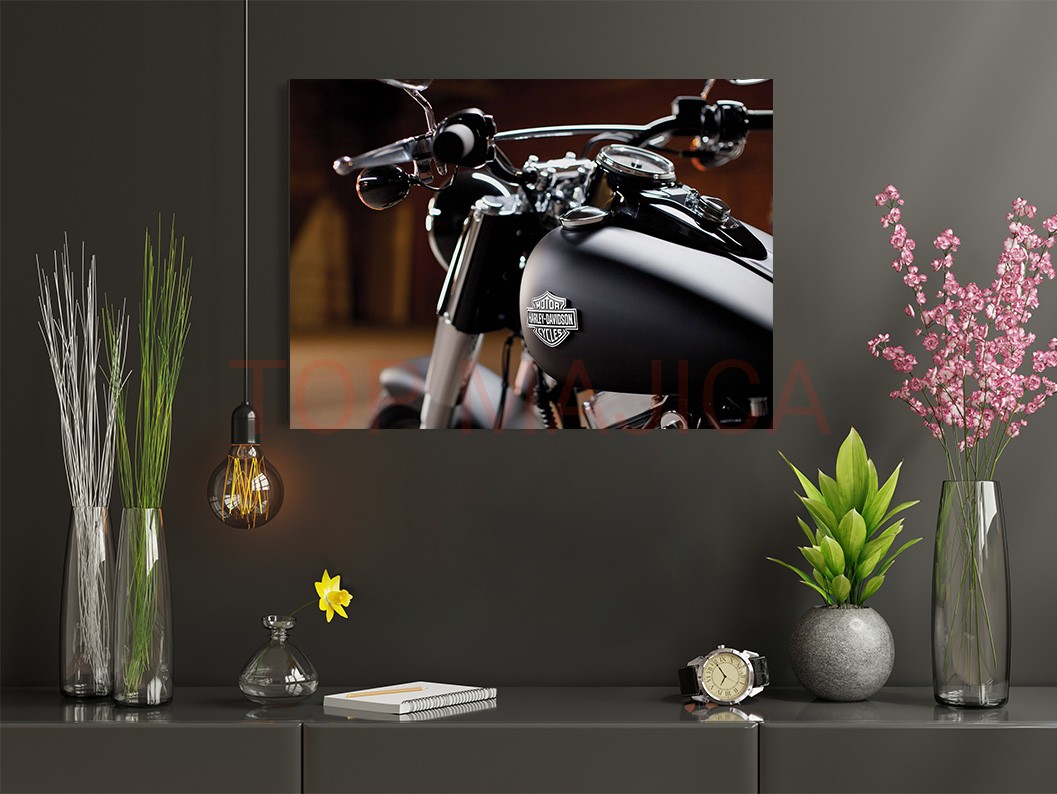 Harley Davidson - Slika harley 2