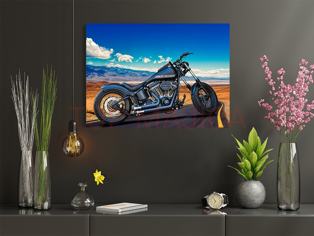 Harley Davidson Road - Slika harley davidson Road slika