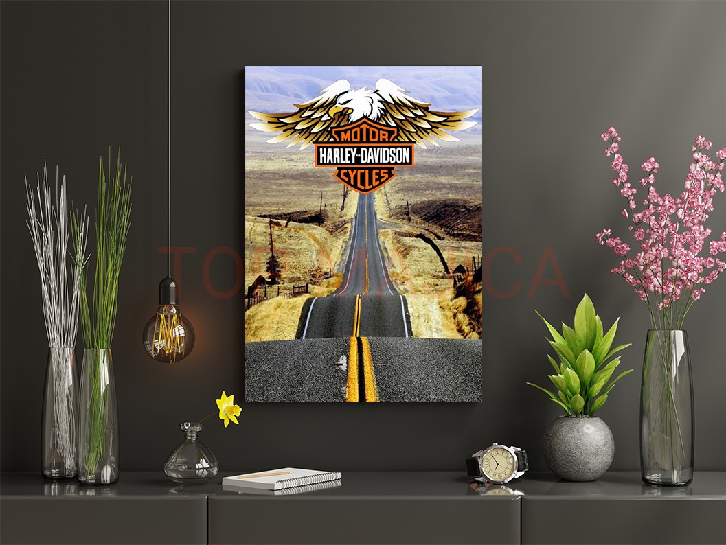 Harley Davidson Route - Slika harley davidson route
